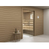 Sauna glass door with additional glass panel S2