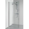 Shower door with wall panel GODA