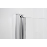 Shower door with wall panel GODA