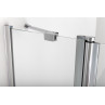 Shower door with wall panel GRETA PLIUS