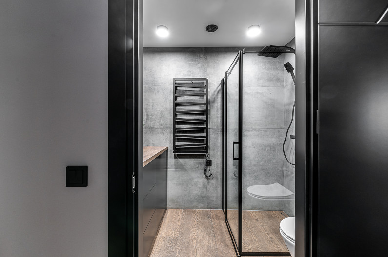 Shower enclosure KARINA Nero frame. Collection: Acrobat/Industrial-style. Interior: Dovilės inter...